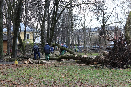 Ураган в Великом Новгороде в воскресенье 27 октября