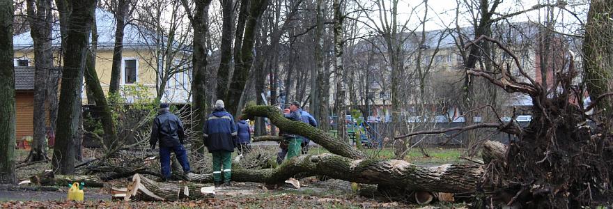 Ураган в Великом Новгороде в воскресенье 27 октября