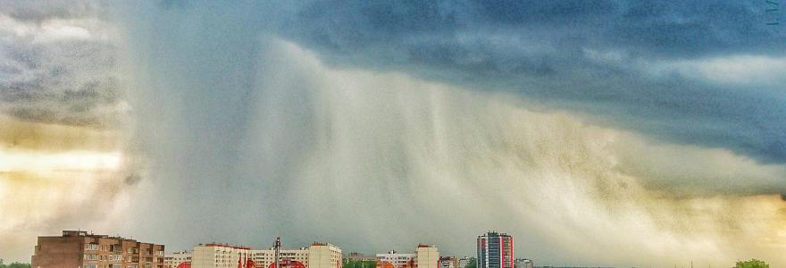 Ливень в Великом Новгороде обрушил деревья на машины