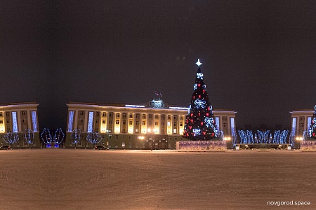 2020-й без пандемии и Конституции: чем запомнится новгородцам уходящий год